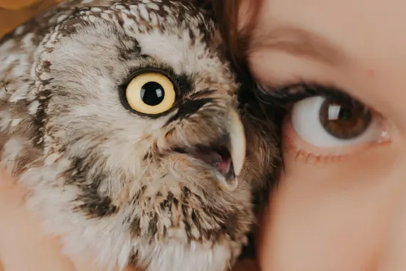 ماتش أب كازينو الدعم